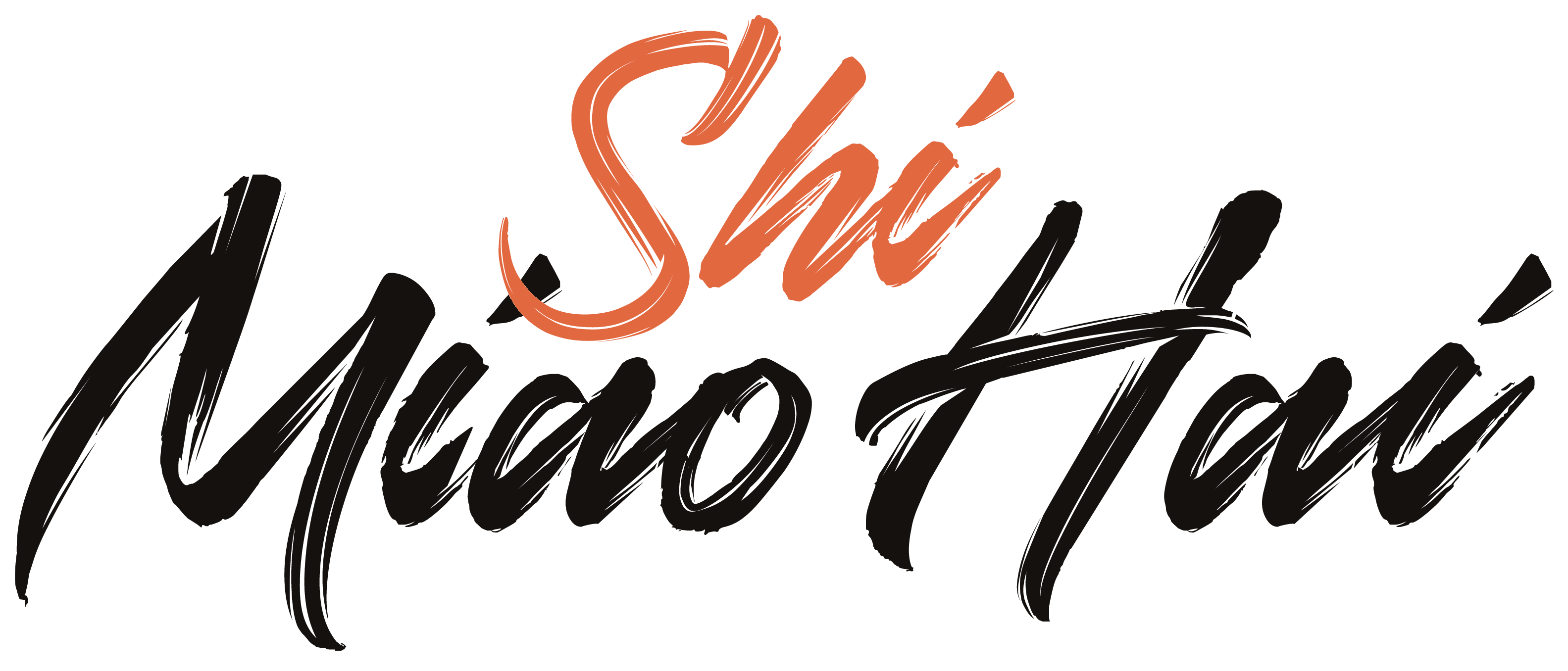 Shi Miao Hai — Shaolin Kung Fu Academy logo